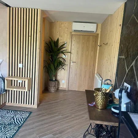 Muas Guest House Vila Real Extérieur photo